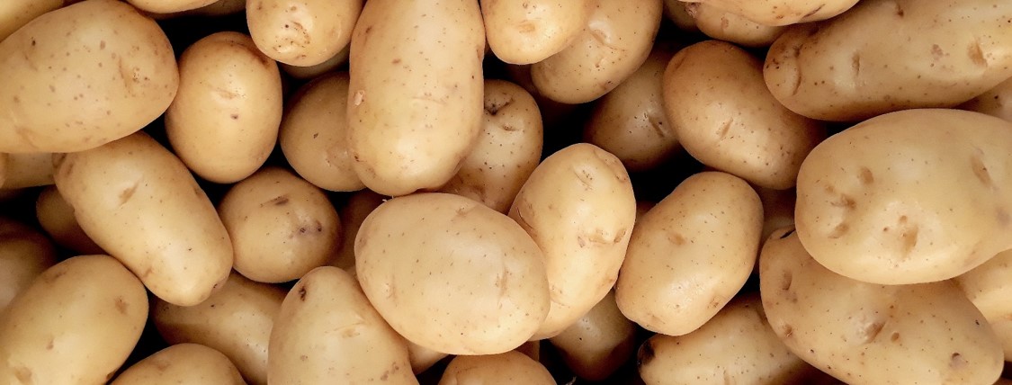 Pile of Potatoes Header