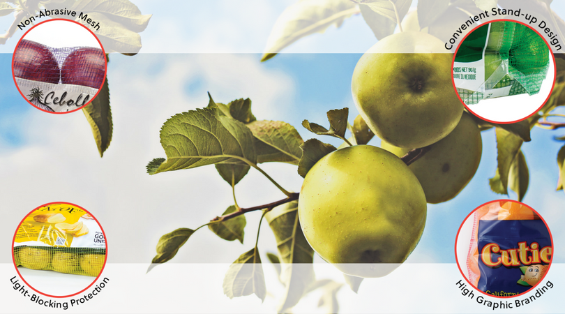 Untitled design (58).png
